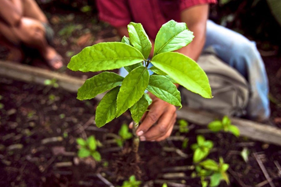 Ecuador