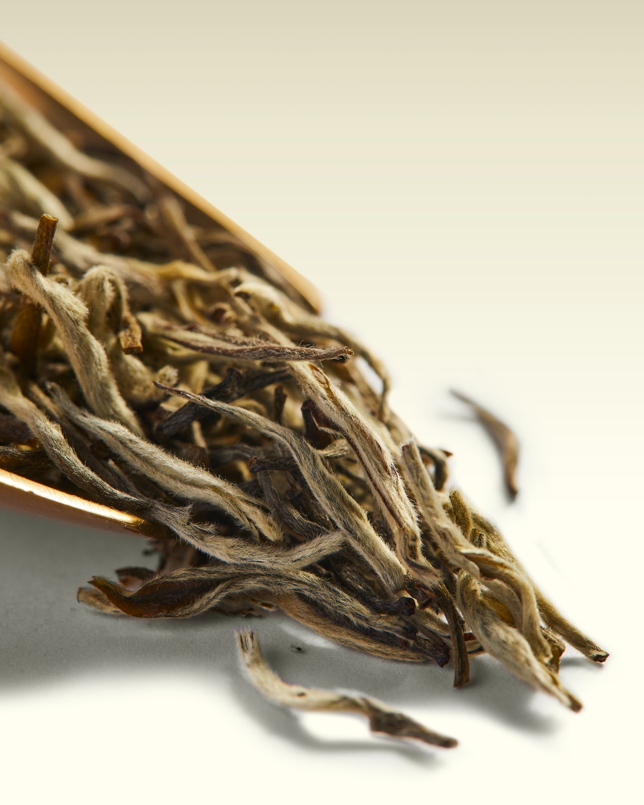 Darjeeling White Tea 25 gm