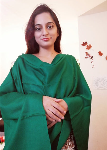 Kashmir Pashmina Stole 85%