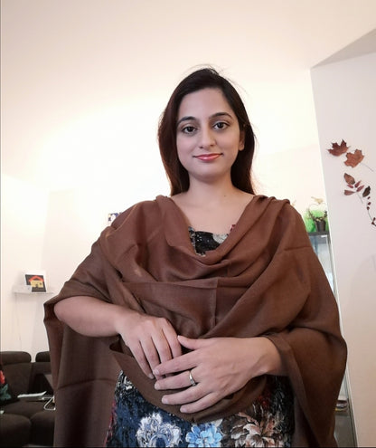Kashmir Pashmina Stole 85%